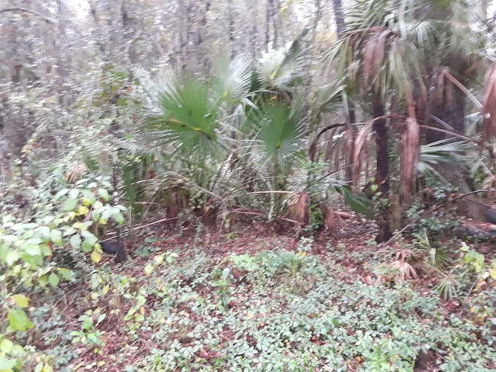 Big Tree Properties LLC Picture 8