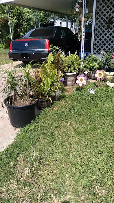 Big Tree Properties LLC Picture 3