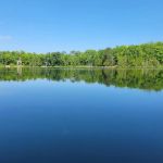 Twin Lakes State Forest Campground