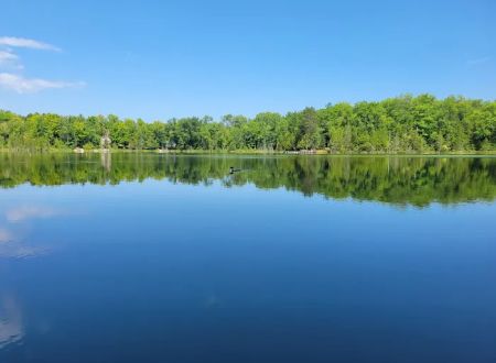 Twin Lakes State Forest Campground
