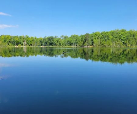 Twin Lakes State Forest Campground