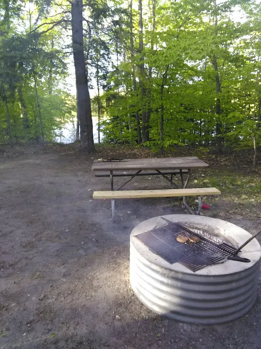 Twin Lakes State Forest Campground Picture 10