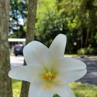 Three Seasons Mobile Home Park ico