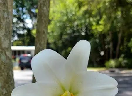 Three Seasons Mobile Home Park