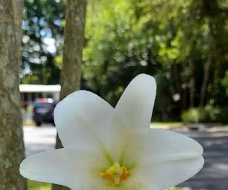 Three Seasons Mobile Home Park