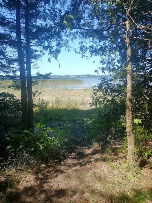 Cheboygan State Park Campground Picture 6