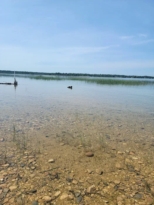 Cheboygan State Park Campground Picture 3