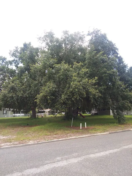 Meadows of Astatula Picture 1