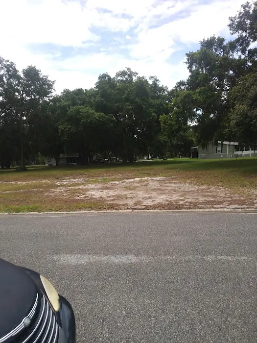 Meadows of Astatula Picture 3