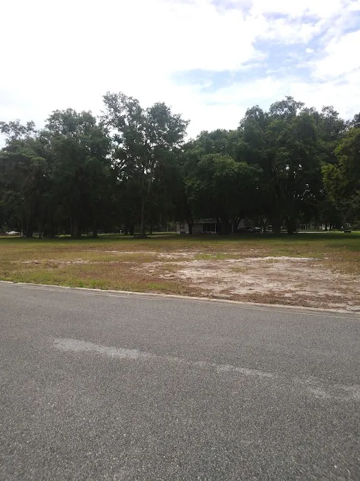 Meadows of Astatula Picture 4