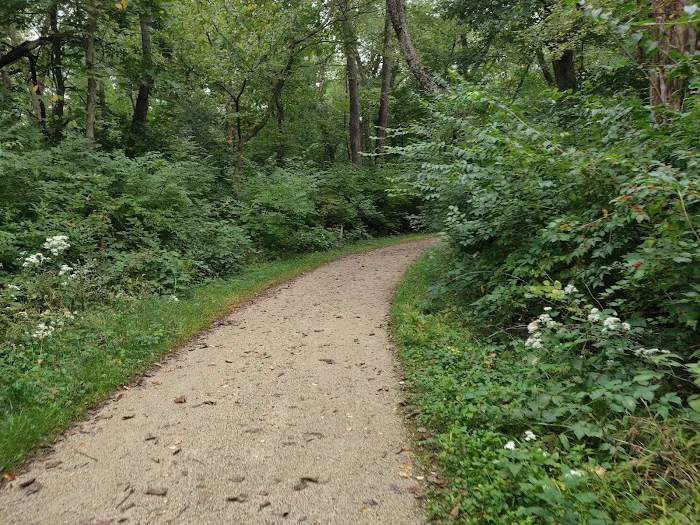Camp Ground Road Woods Picture 1