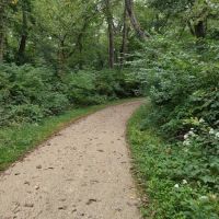 Camp Ground Road Woods ico