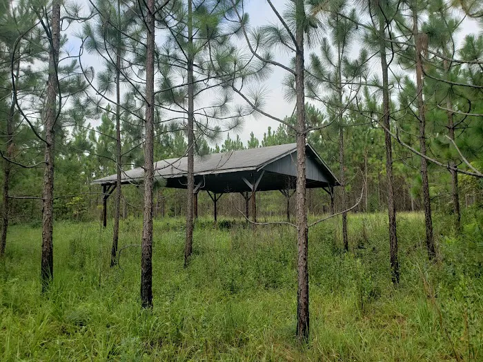 Rum Creek Camping Picture 5