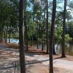 Forsyth KOA Journey