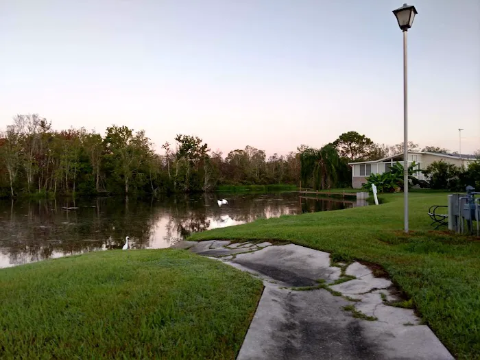 Coachwood Colony Picture 4
