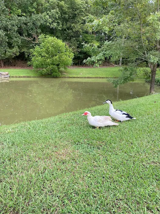 Cedar Break RV Park & Campground Picture 6