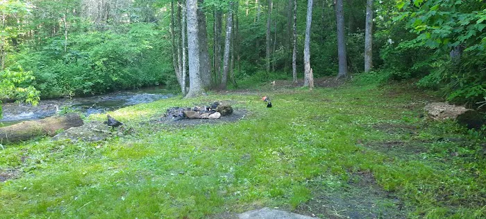 Harkins Creek Picture 1