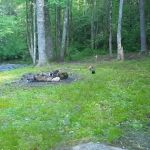 Harkins Creek