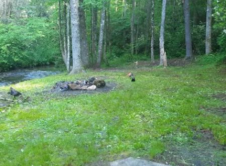 Harkins Creek