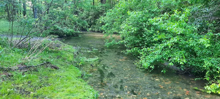 Harkins Creek Picture 2