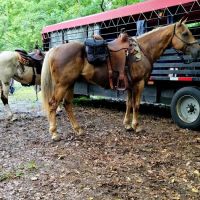 Cottonwood Patch Campground (Horse Camp) ico