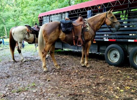 Cottonwood Patch Campground (Horse Camp)