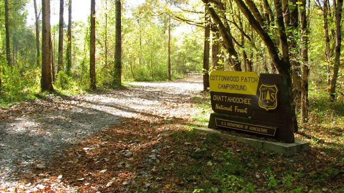 Cottonwood Patch Campground (Horse Camp) Picture 5