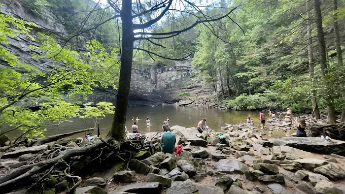 Foster Falls Campground Picture 1