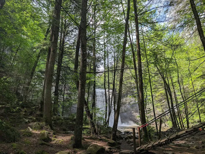 Foster Falls Campground Picture 8