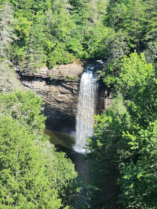 Foster Falls Campground Picture 5