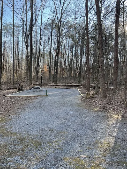 Foster Falls Campground Picture 9