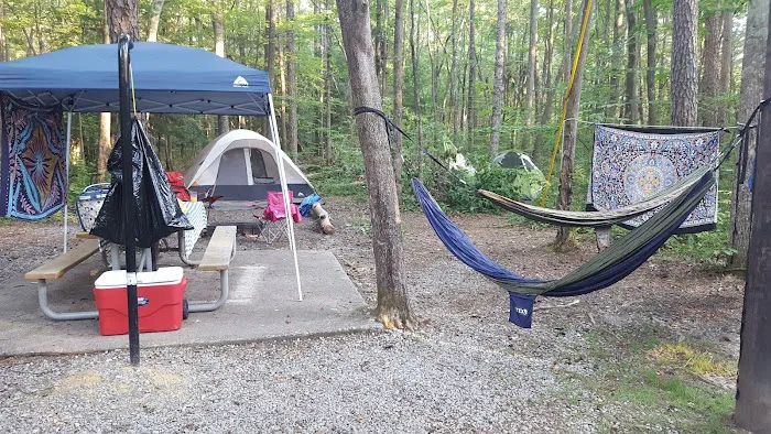 Foster Falls Campground Picture 10