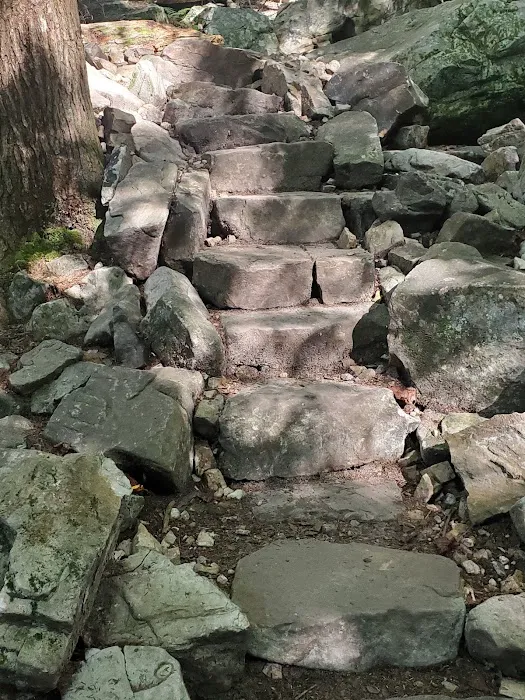 Foster Falls Campground Picture 4
