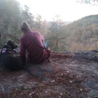 Small Wilds Campground ico