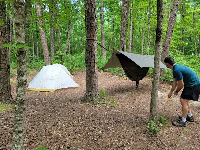 Small Wilds Campground Picture 3