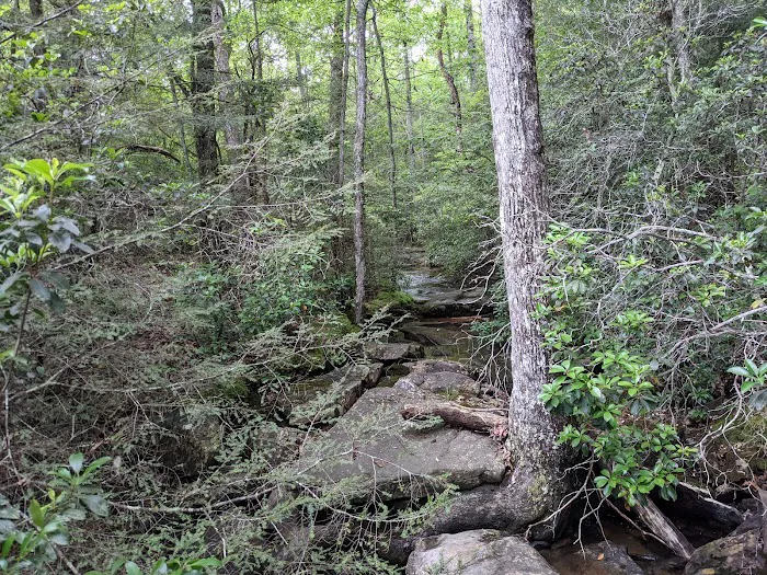 Small Wilds Campground Picture 5