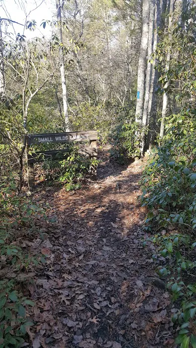 Small Wilds Campground Picture 9