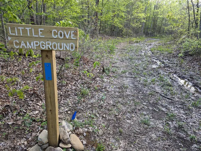 Little Cove Campground Picture 1