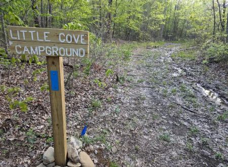 Little Cove Campground