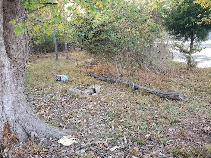 Oates Island Campsite Picture 3