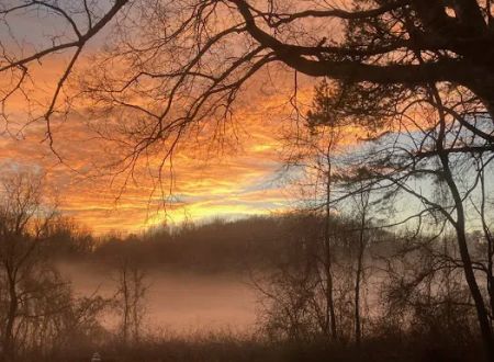 Covenant View Camp and Retreat