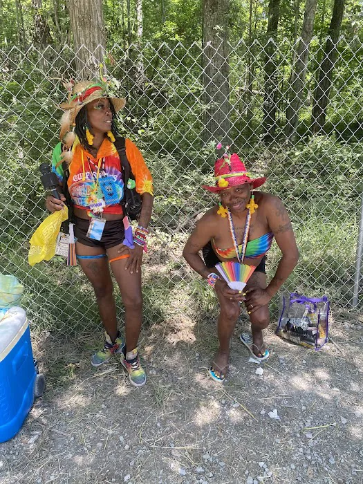 Bonnaroo Camp Picture 6