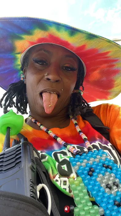 Bonnaroo Camp Picture 5