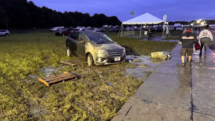 Bonnaroo Back 60 Picture 3