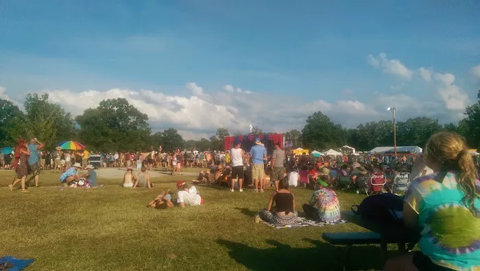 Bonnaroo VIP Camping Picture 3