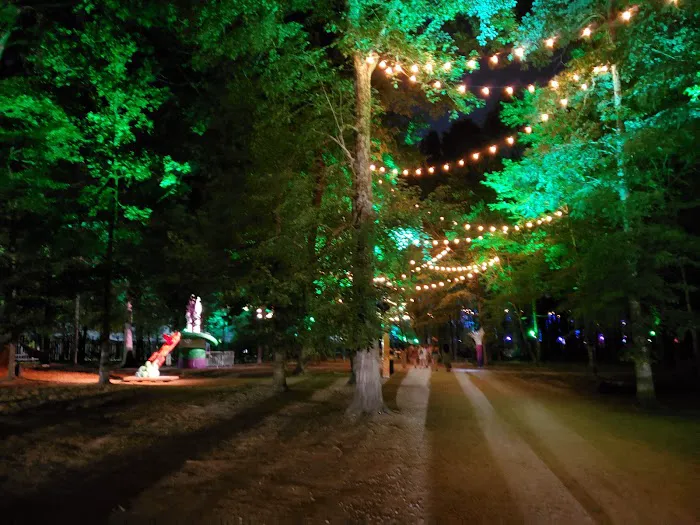 Bonnaroo VIP Camping Picture 8