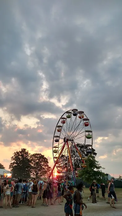 Bonnaroo VIP Camping Picture 7