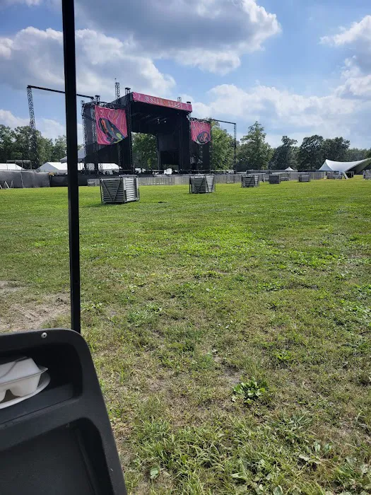 Bonnaroo VIP Camping Picture 10