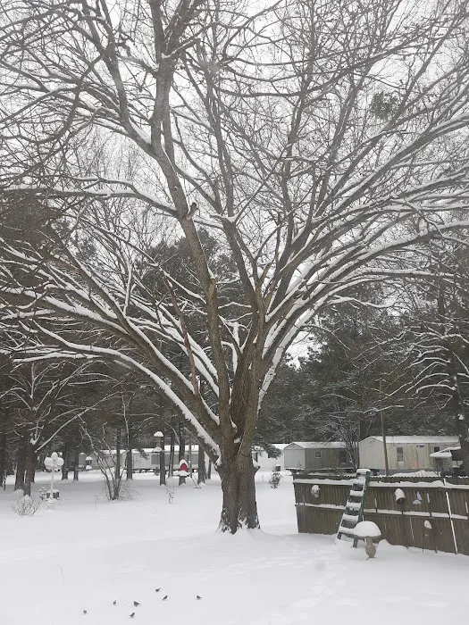 BARNES R.V. & MOBILE HOME PARK Picture 7