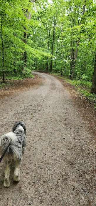 Tennessee Hills Campgrounds Picture 4